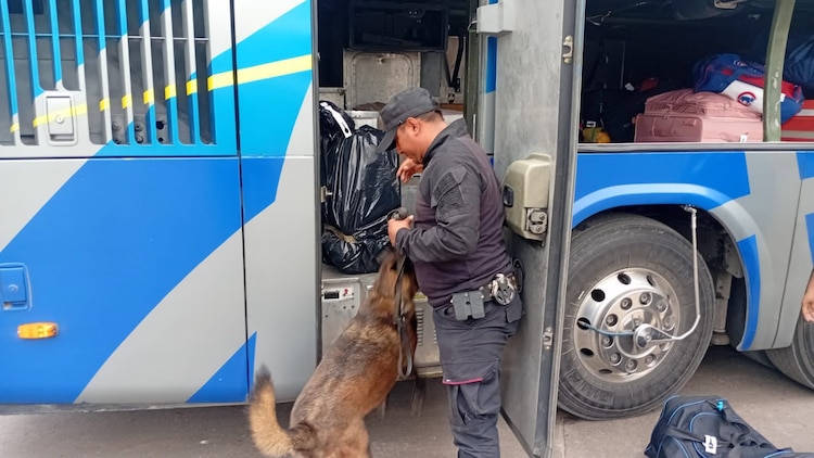 La Guardia Estatal mantiene despliegue territorial y coordinación con fuerzas federales para la prevención del delito en Tamaulipas.