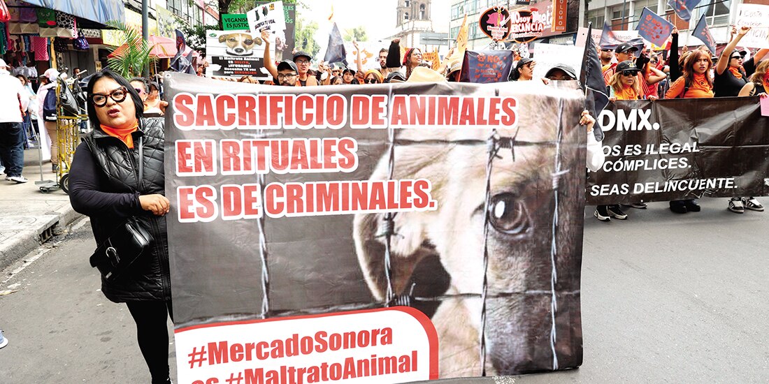 Activistas por los derechos animales marcharon el 5 de octubre pasado para
manifestarse contra la venta de diversas especies en el Mercado de Sonora.