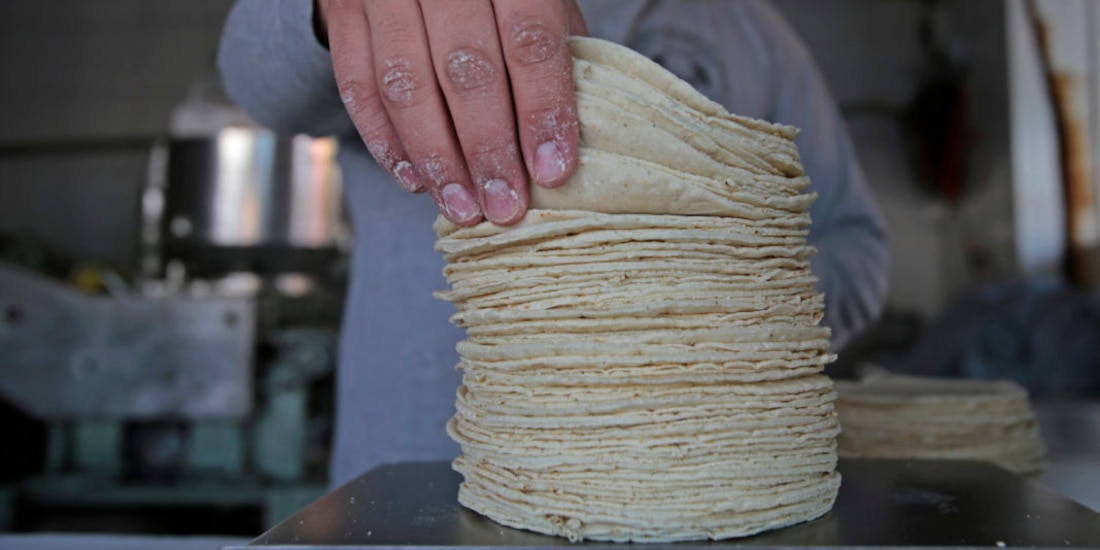Sheinbaum asegura que el precio del kilo de la tortilla no va a subir, pues, explicó, no hay motivo.