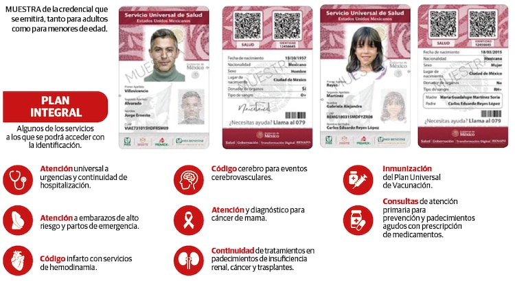 MUESTRA de la credencial que
se emitirá, tanto para adultos
como para menores de edad.