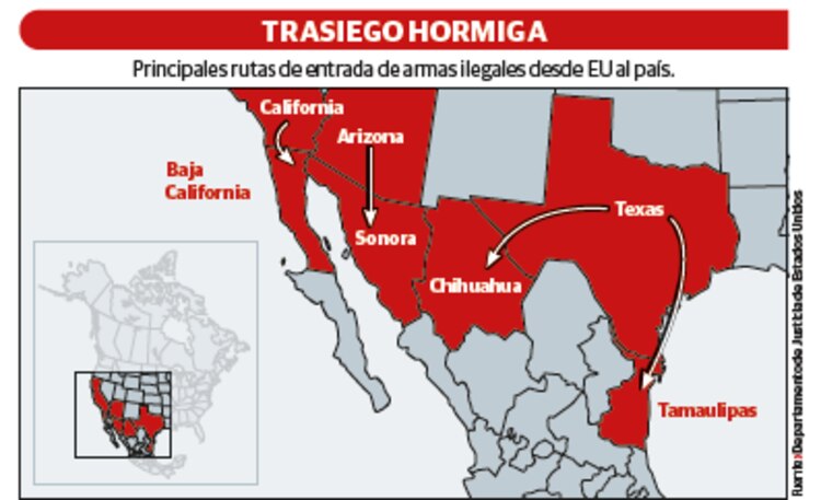 Trasiego hormiga