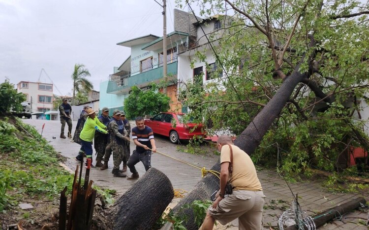 En Pinotepa Nacional, las Fuerzas Armadas también apoyaron en el retiro de árboles.
