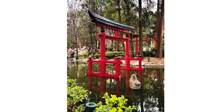 EL PARQUE Masayoshi Ohira mezcla arquitectura japonesa y flora silvestre.
