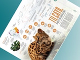 Tilcayo, un nuevo felino en más de un siglo