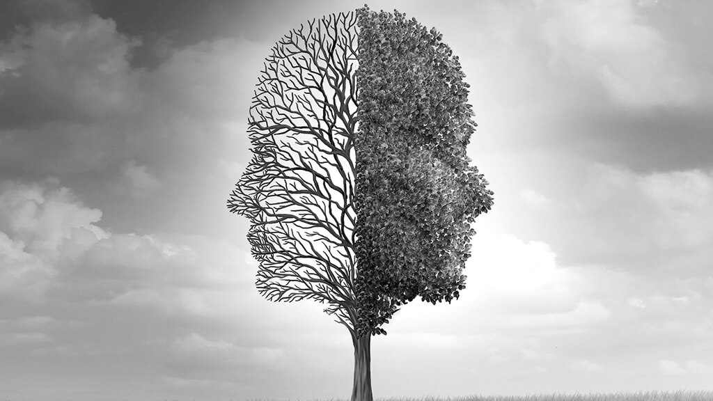 El cerebro en llamas