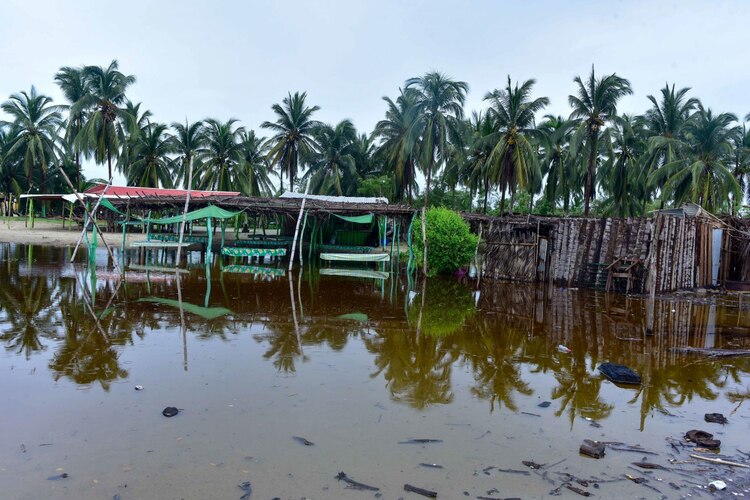 Afectaciones causadas por el huracán Erick en zonas rurales y urbanas.