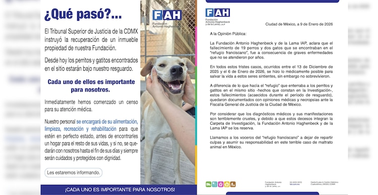 Comunicados de la FAH