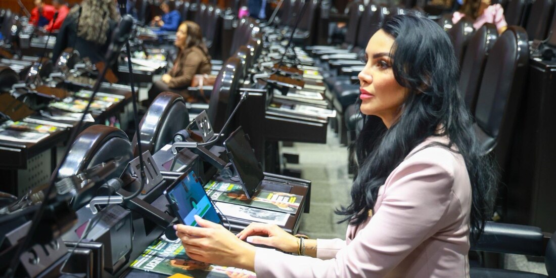 La legisladora morenista, en imagen de archivo.