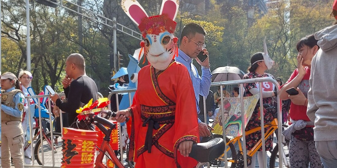 Durante el Paseo Dominical "Muévete en Bici", cientos de capitalinos acudieron disfrazados de conejo o dragones por el año nuevo chino