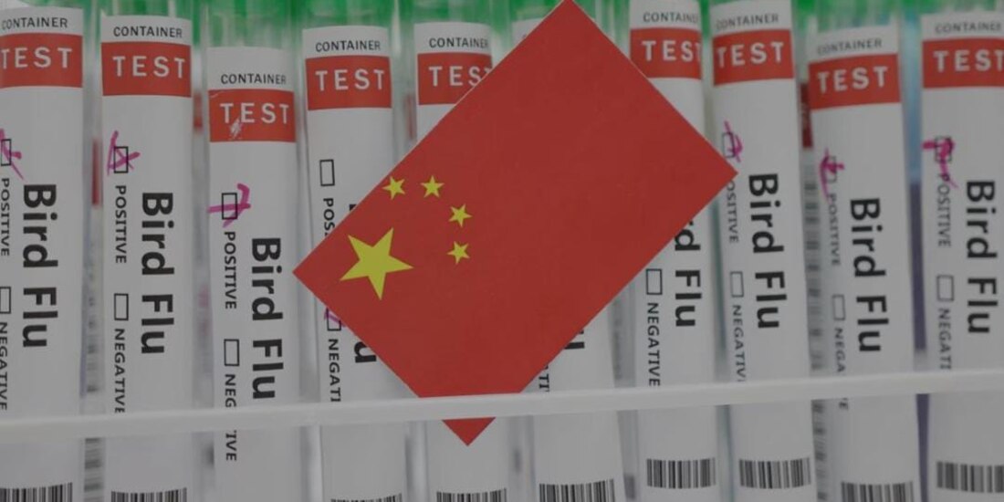 Una mujer de 56 años murió a causa de la gripe aviar H3N8.