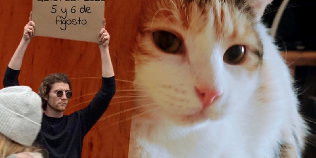 El Gato Fest se realizará un fin de semana completo.