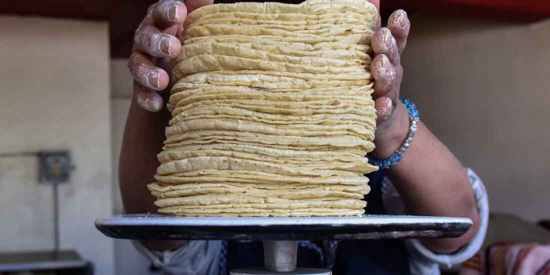 En la Ciudad de México, el precio mínimo registrado en tortillerías es de 15.00 pesos el kilo.
