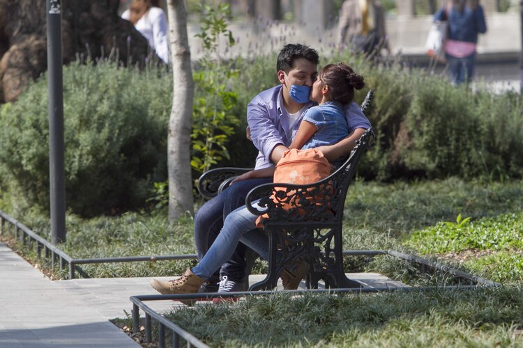 Una tendencia creciente es regalar flores azules en el Día del Novio.