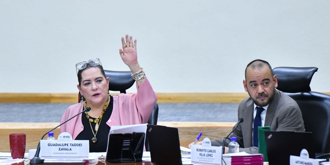 Guadalupe Taddei Zavala, consejera presidenta del Instituto Nacional Electoral