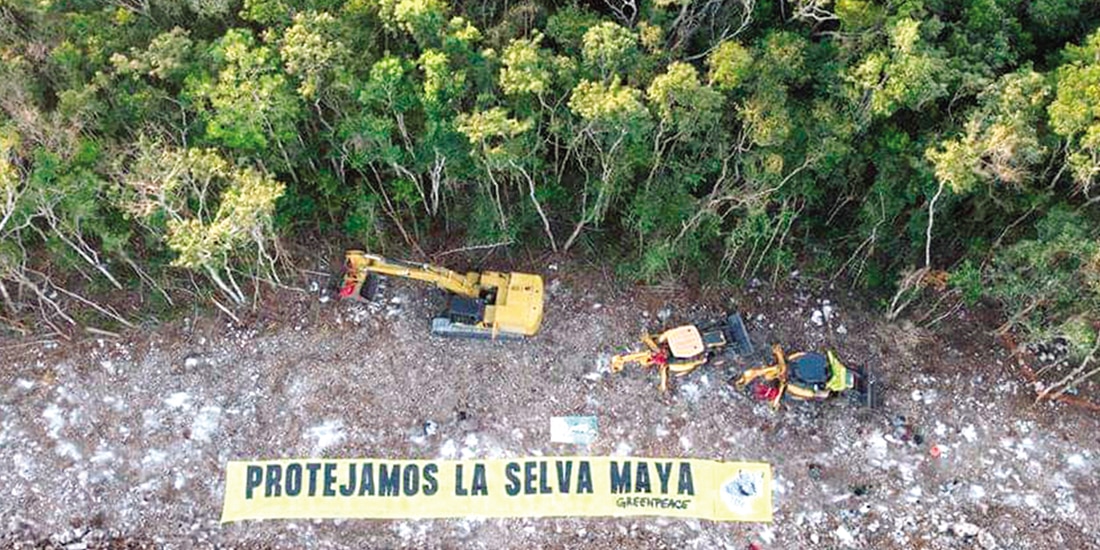 integrantes de Greenpeace ante la construcción del Tren Maya, el sexenio pasado.