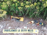 integrantes de Greenpeace ante la construcción del Tren Maya, el sexenio pasado.
