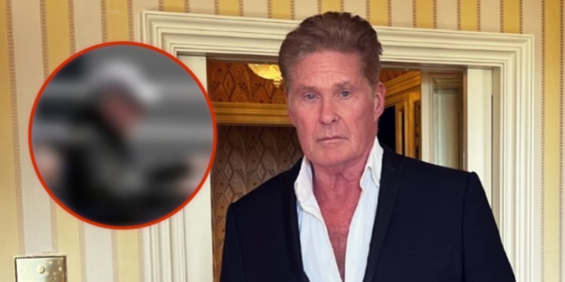 David Hasselhoff aparece irreconocible en silla de ruedas