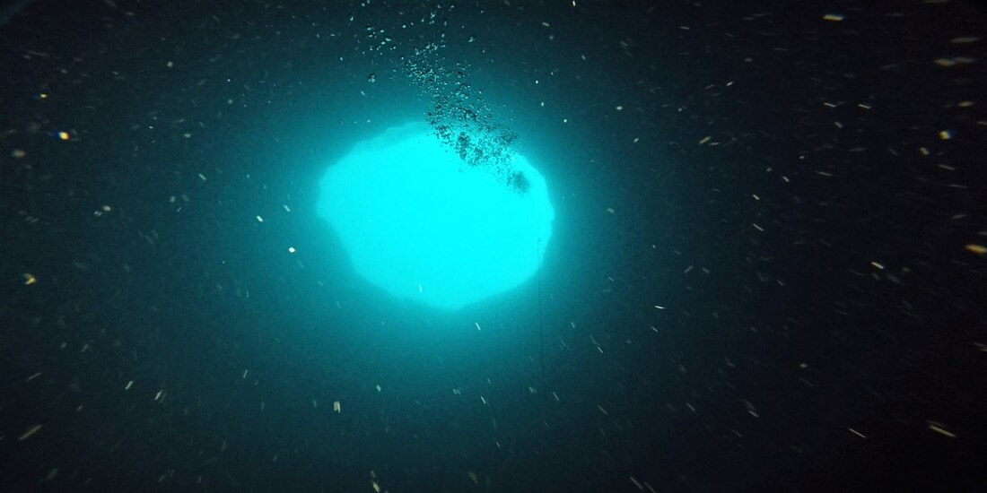 Debido a la falta de accesibilidad, los agujeros azules, que albergan gran diversidad de plantas y organismos vivos, son muy poco estudiados.