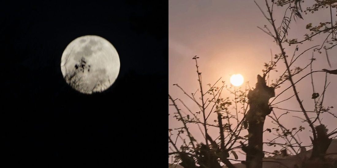 La Luna rosa de este sábado 12 de abril.