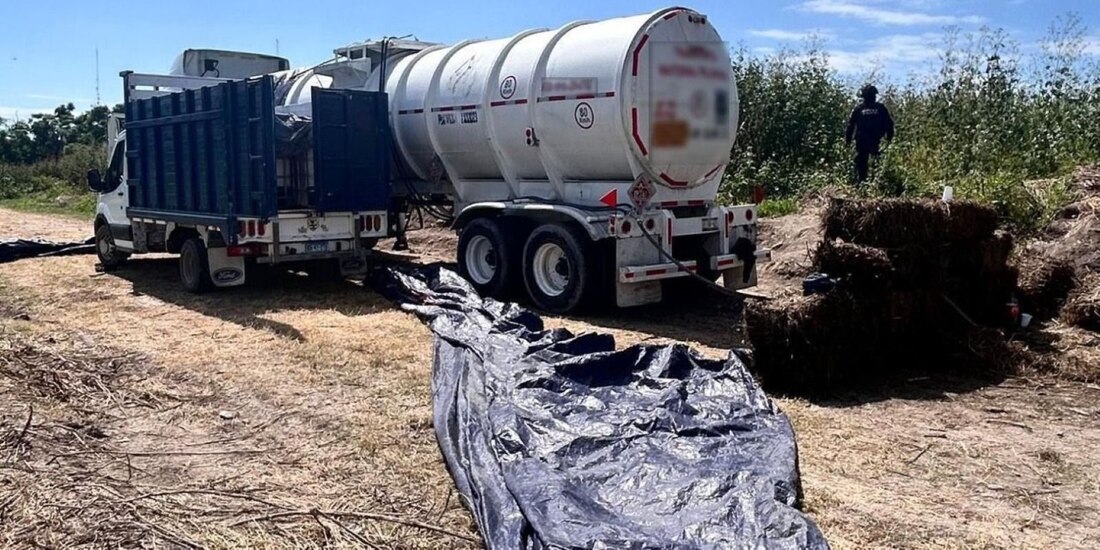 Acción de las fuerzas de seguridad en Guanajuato.