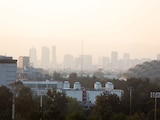 Consulta el estado de la calidad de aire en la Ciudad de México y el Estado de México.