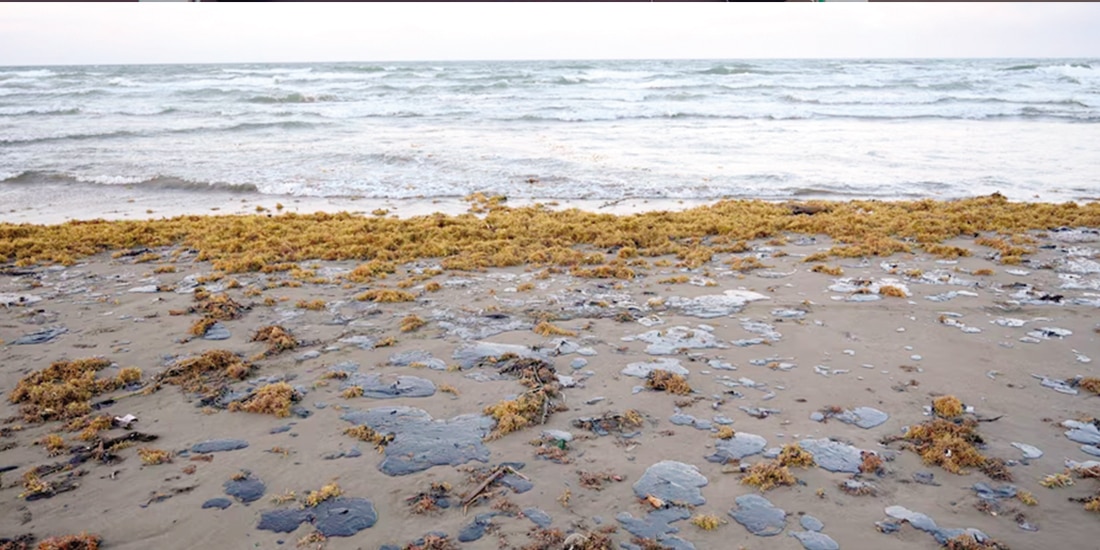 Aspecto del derrame de crudo en la playa Las Barrillas, Veracruz, el 4 de marzo.