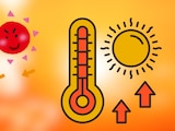 Ola de calor