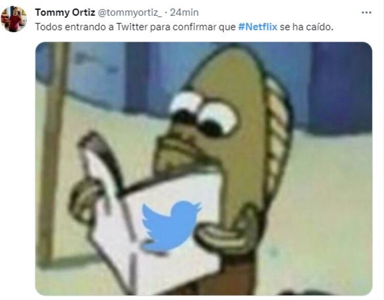 Usuarios confirman en "X", antes Twitter, que se cayó Netflix