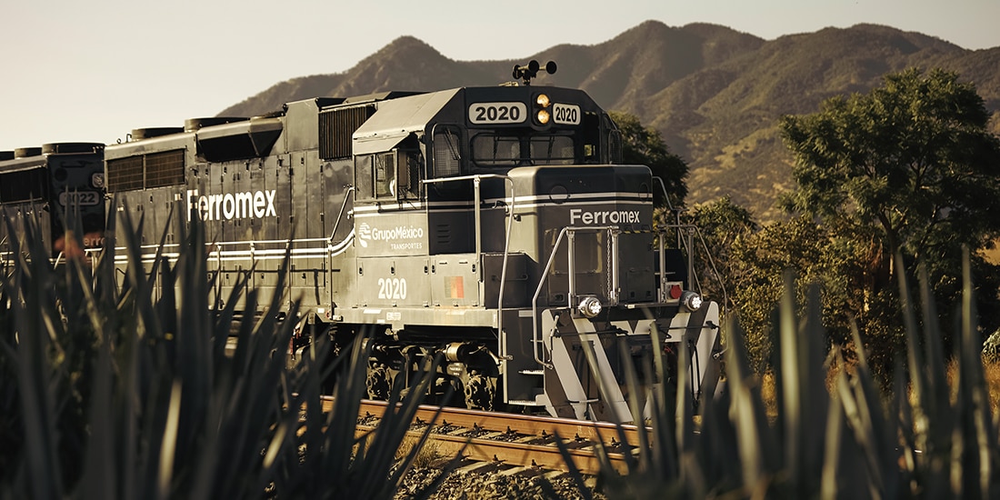 El tequila express es un viaje a la magia de la naturaleza.