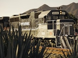 El tequila express es un viaje a la magia de la naturaleza.