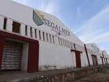 En días pasados, Segalmex anunció la compra de 521 mil toneladas de maíz para garantizar el abasto del grano, como parte del Paquete Contra la Inflación y Carestía.