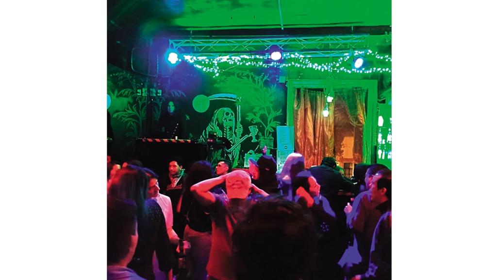 Siendo estúpido otra vez