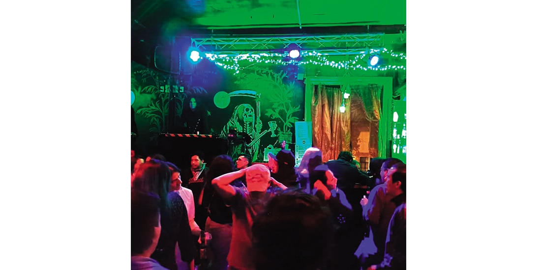 Siendo estúpido otra vez