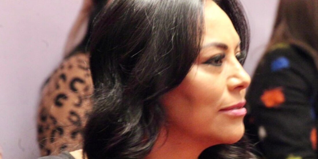 La extitular de Administración, Sandra Anaya, en San Lázaro, el 21 de enero.