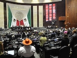 Aspecto de la Cámara de Diputados.