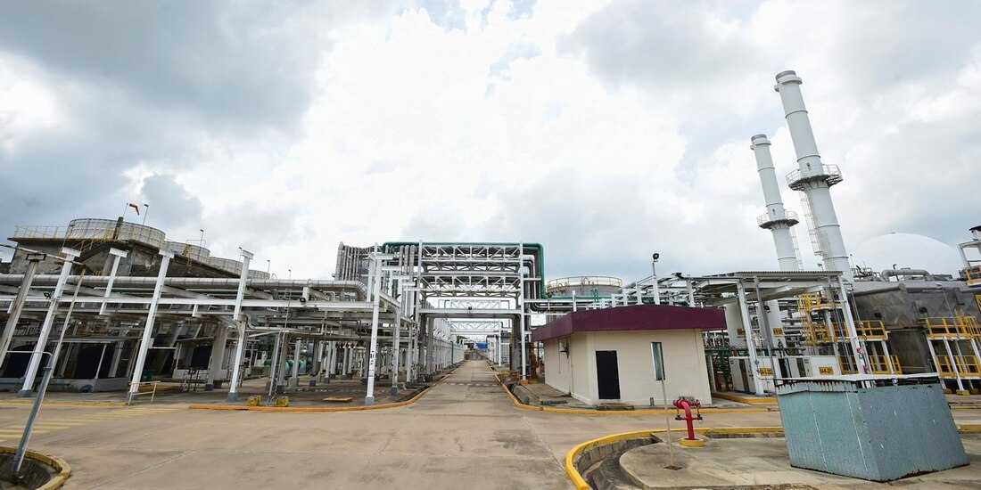 PEMEX contribuye a la autosuficiencia alimentaria de comunidades rurales mediante su programa de fertilizantes.