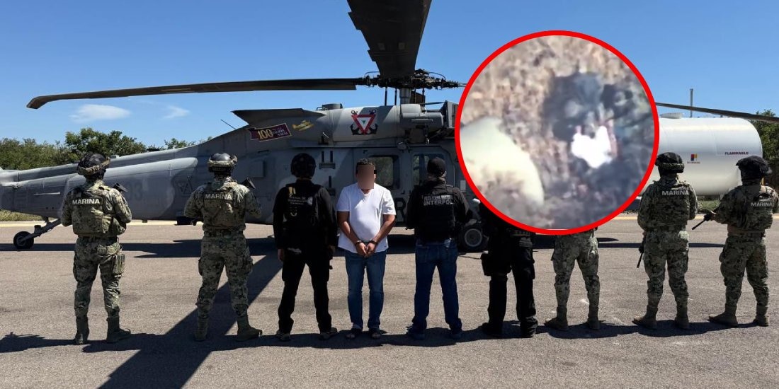 Difunden video de la captura de "El Jardinero".