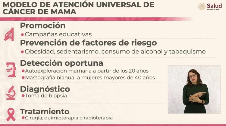 Este modelo se basará en cinco estrategias