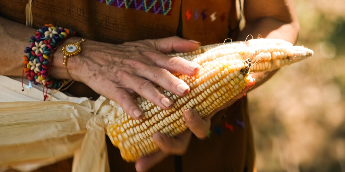 Comisión de Puntos Constitucionales aprobó dictamen que protege los maíces nativos
