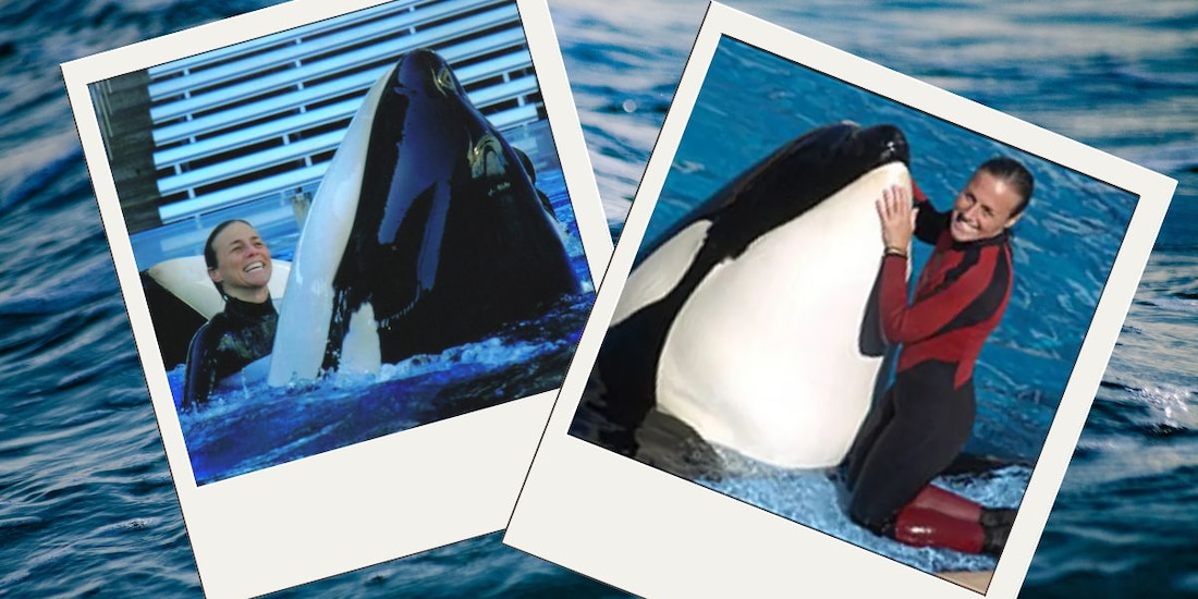 Estas son las conmovedoras FOTOS de Dawn Brancheau antes del accidente mortal.