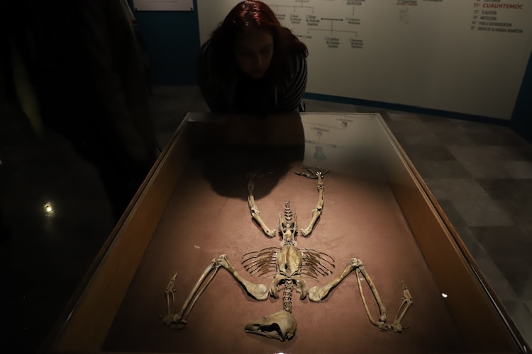 Al lado de la escultura se exhiben las lápidas por primera vez.