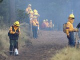En días pasados, la Secretaría del Medio Ambiente brindó capacitación a personal especializado en combate a incendios forestales.