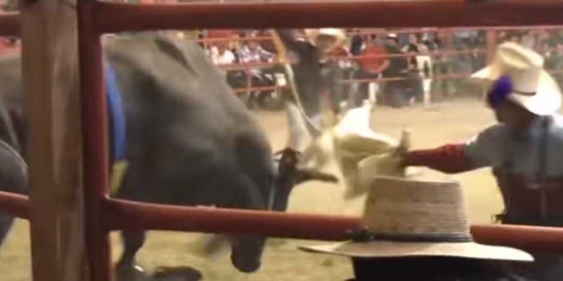 Toro pisa en la cabeza a jinete y le arrebata la vida frente a espectadores de jaripeo