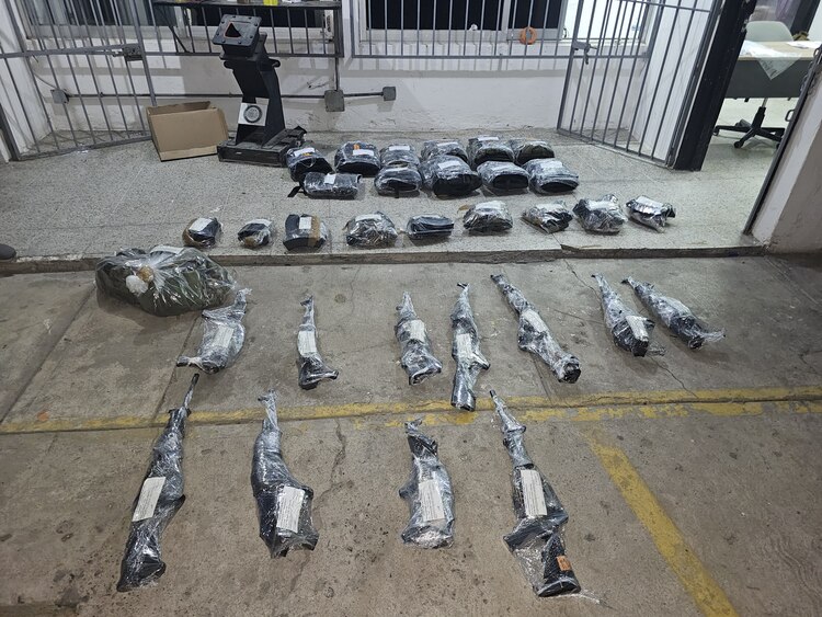 Las Fuerzas Armadas mantienen una vigilancia permanente en el estado