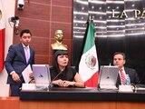 La senadora Ruth López solicitó al Ejecutivo federal espacios especializados para la comunidad LGBTQ+