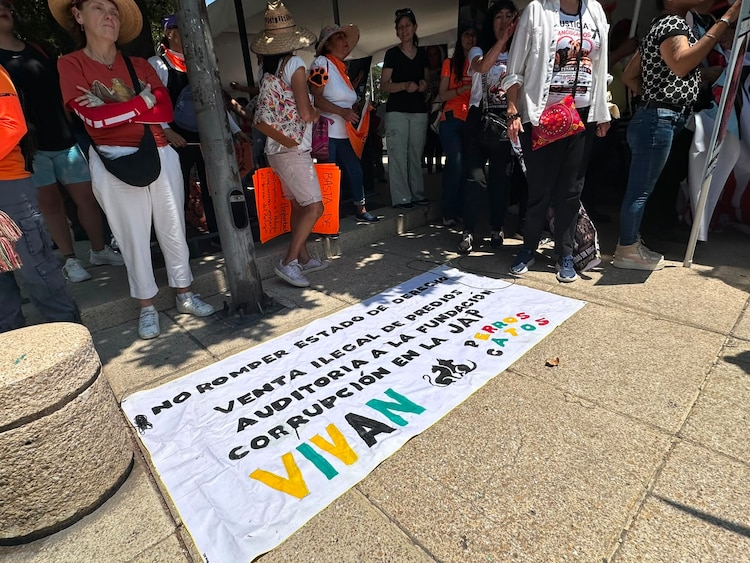 Manifestación en apoyo al Refugio Franciscano sufrió