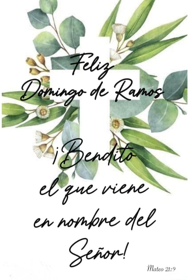 Imágenes para desear feliz Domingo de Ramos