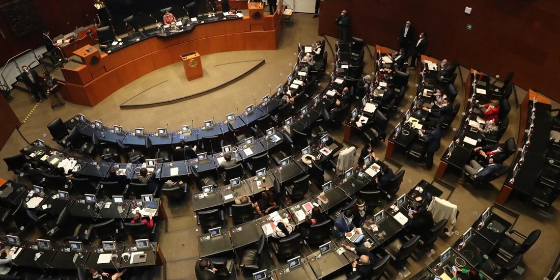 El coordinador parlamentario del PVEM señaló que “seguiremos la ruta de los diputados, vamos a ir en contra de esta iniciativa”.