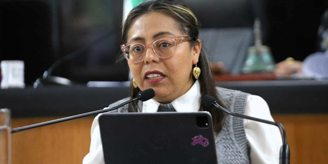 La diputada Teresita Valentín propuso penalizar los ataques con ácido, ayer.