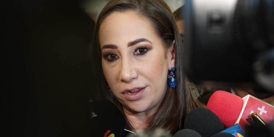 La diputada Noemí Luna